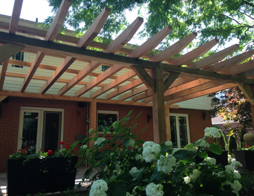 wood in the landscape by terrascape landscape construction